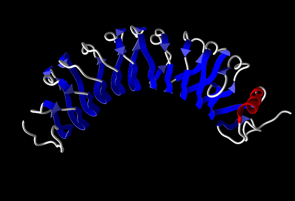 Figure 1. The horseshoe shape of LRG1.