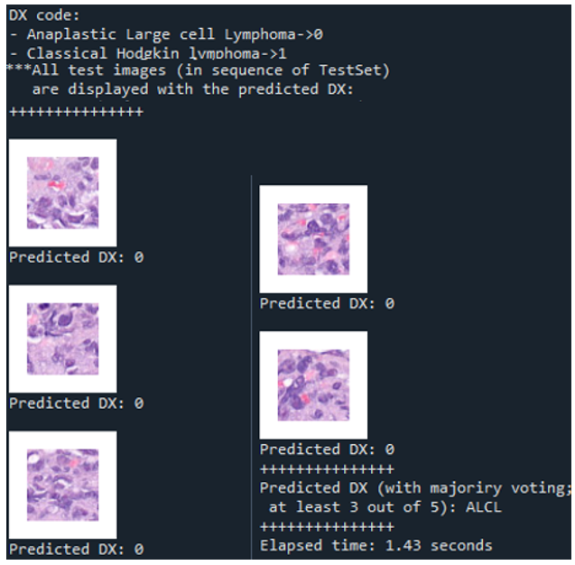 Figure 3. The horseshoe shape of LRG1.